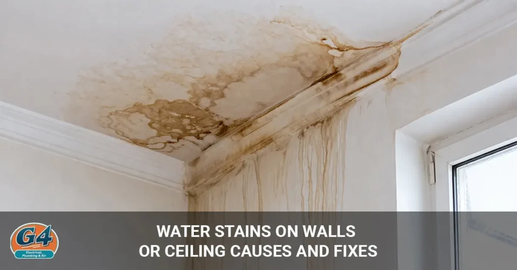 Water Stains on Walls or Ceiling